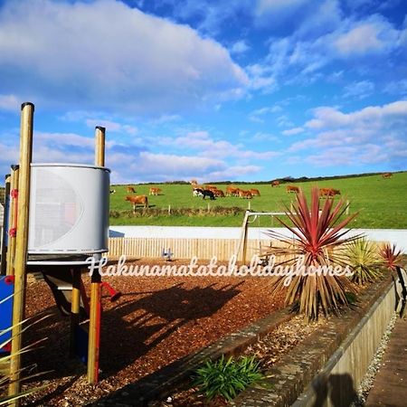 Hakuna Matata Holiday Home Newquay  Ngoại thất bức ảnh