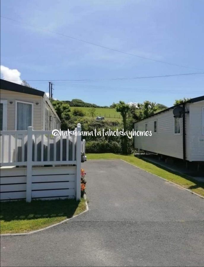 Hakuna Matata Holiday Home Newquay  Ngoại thất bức ảnh